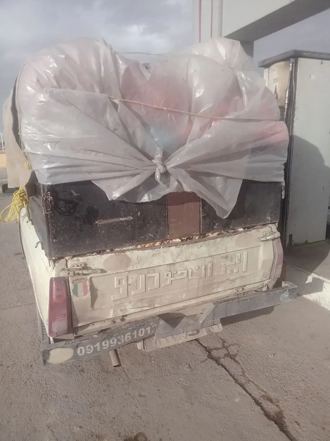 نون خشک|لوازم جانبی حیوانات|شال, |دیوار