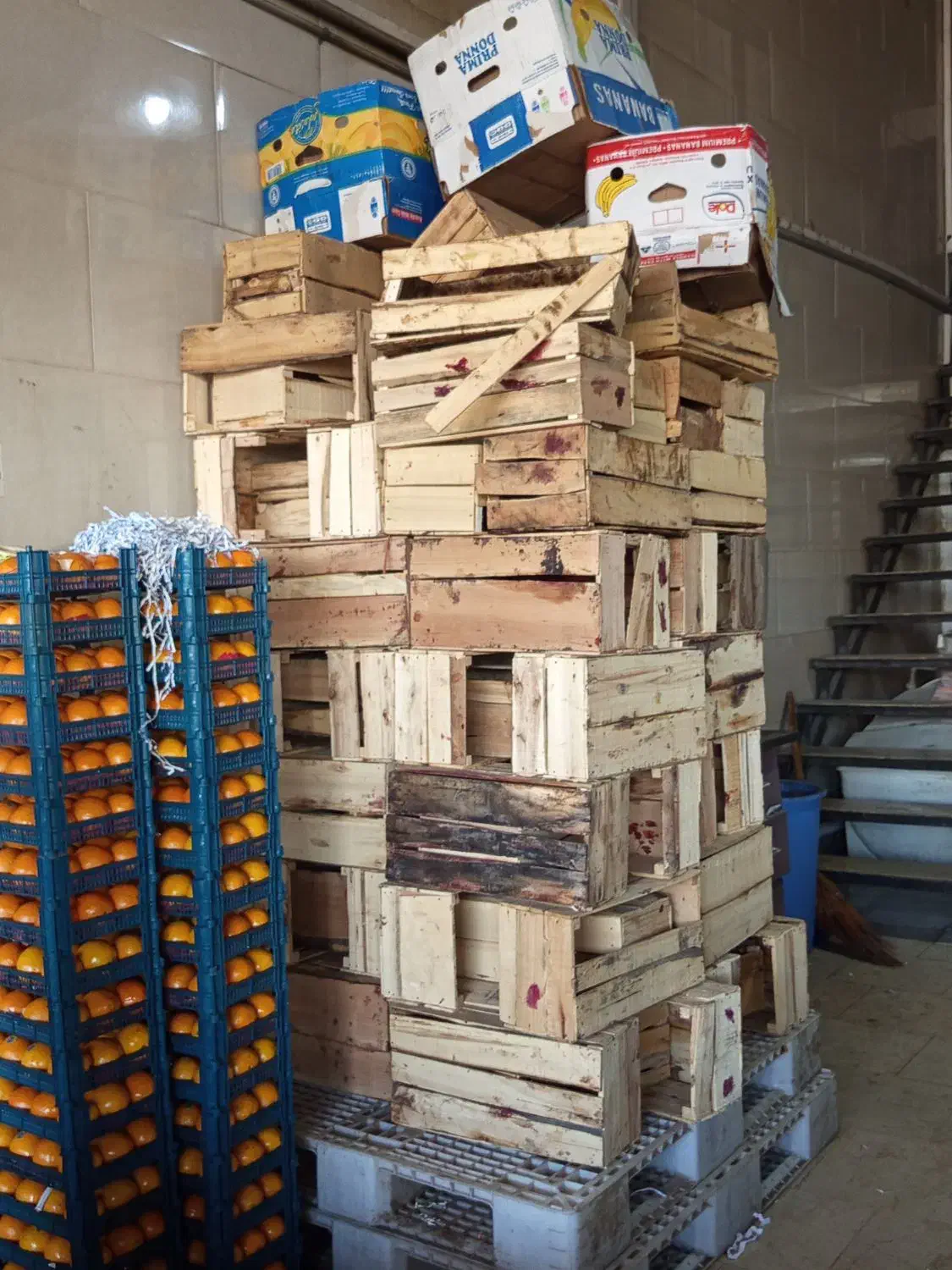 جعبه چوبی|عمدهفروشی|کرج, میدان میوه و تره بار مرکزی|دیوار