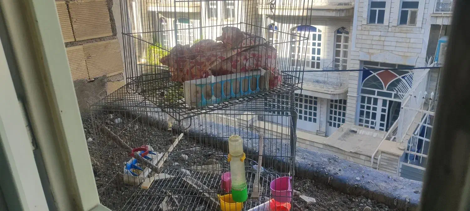 قفس بزرگ و کوچک|لوازم جانبی حیوانات|بروجرد, |دیوار