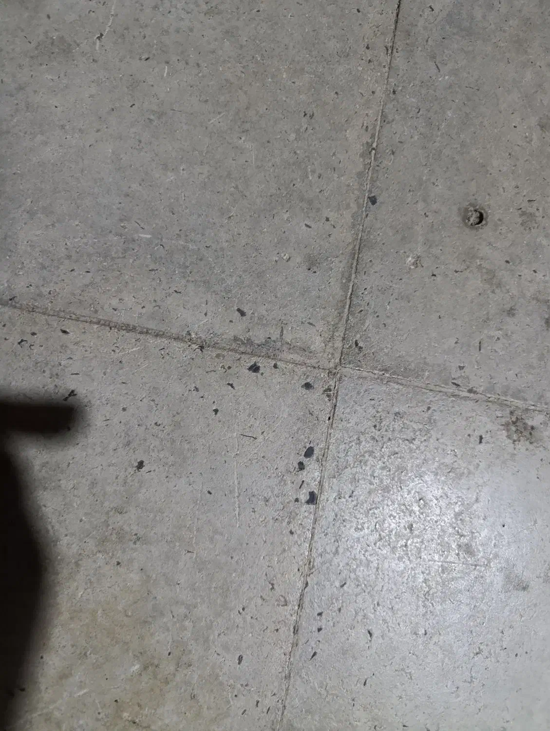 باشت قدم ابادجنب کارگاه حاج ظفری|فروش زمین و ملک کلنگی|باشت, |دیوار