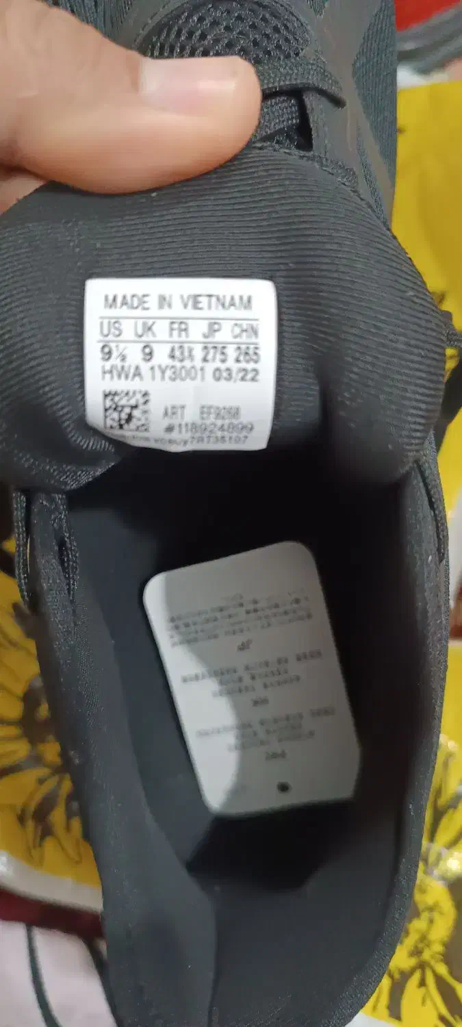 کفش|کیف، کفش، کمربند|دوگنبدان, |دیوار