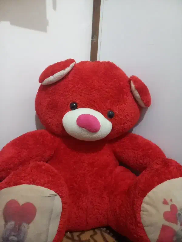 خرس کاملا نو|اسباب‌‌بازی|فولادشهر, فولادشهر|دیوار