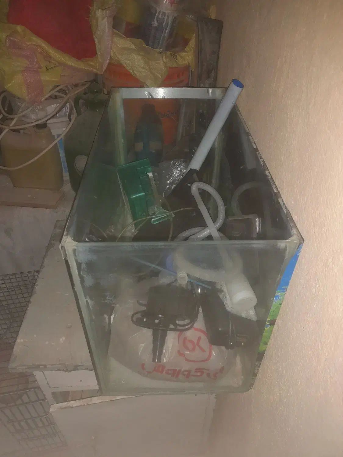 آکواریم|ماهی|پرند, فاز ۴|دیوار