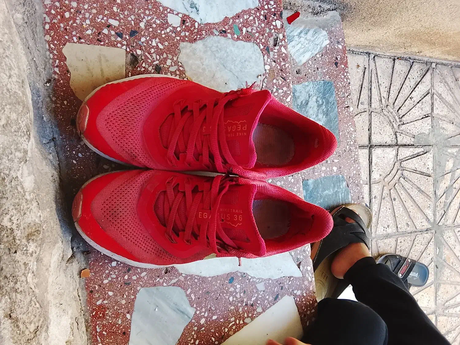 کفش اصلی|کیف، کفش، کمربند|هرسین, |دیوار