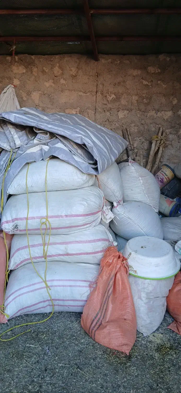 یونجه|لوازم جانبی حیوانات|کوهدشت, |دیوار