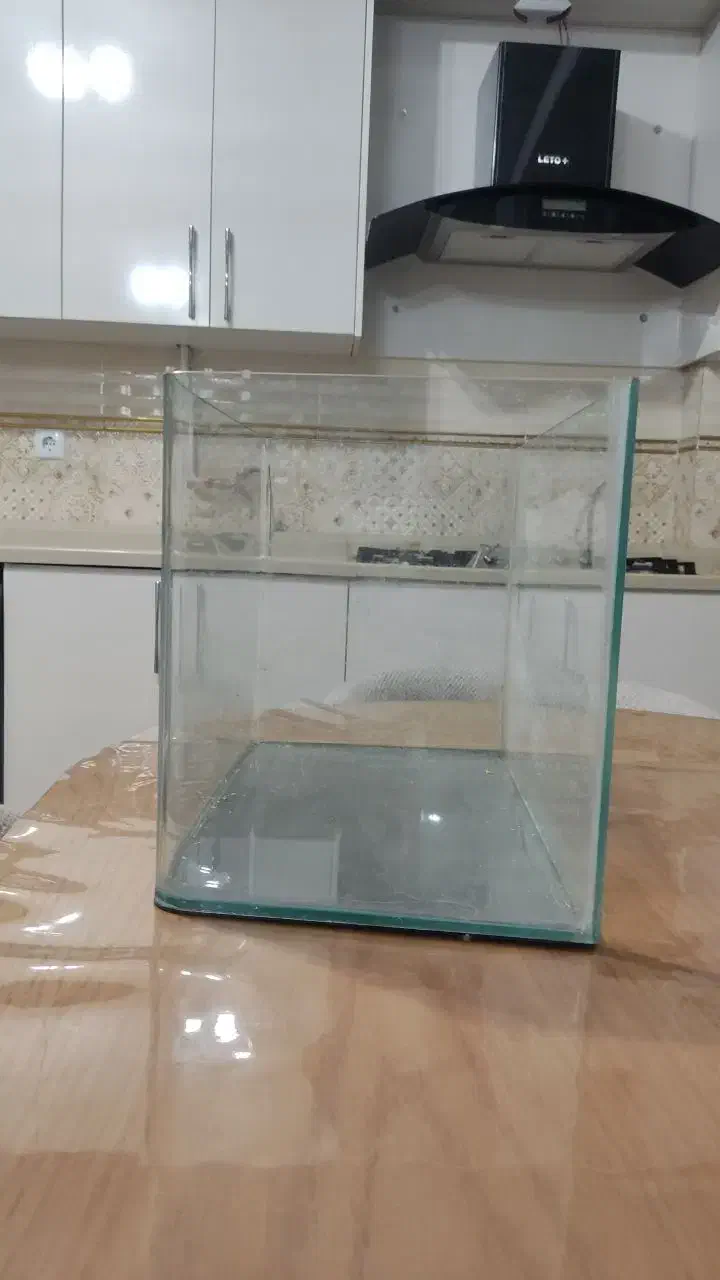 اکواریوم با ماهی|ماهی|بوکان, |دیوار