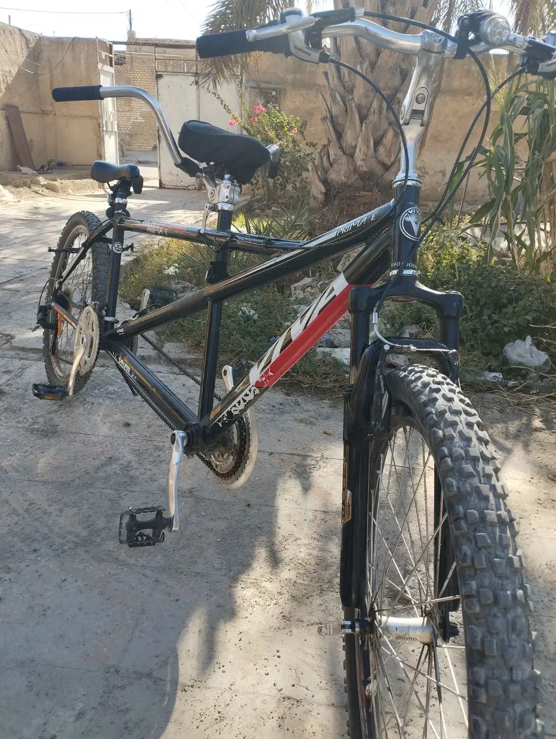 دوچرخه هفت دنده دونفره برندویوا|دوچرخه، اسکیت، اسکوتر|بهبهان, |دیوار