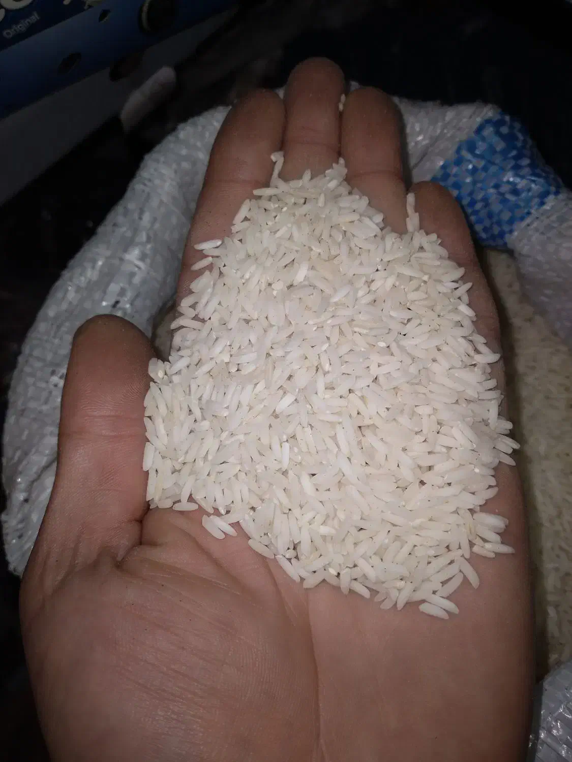 برنج صدری|عمدهفروشی|رشت, یخسازی|دیوار