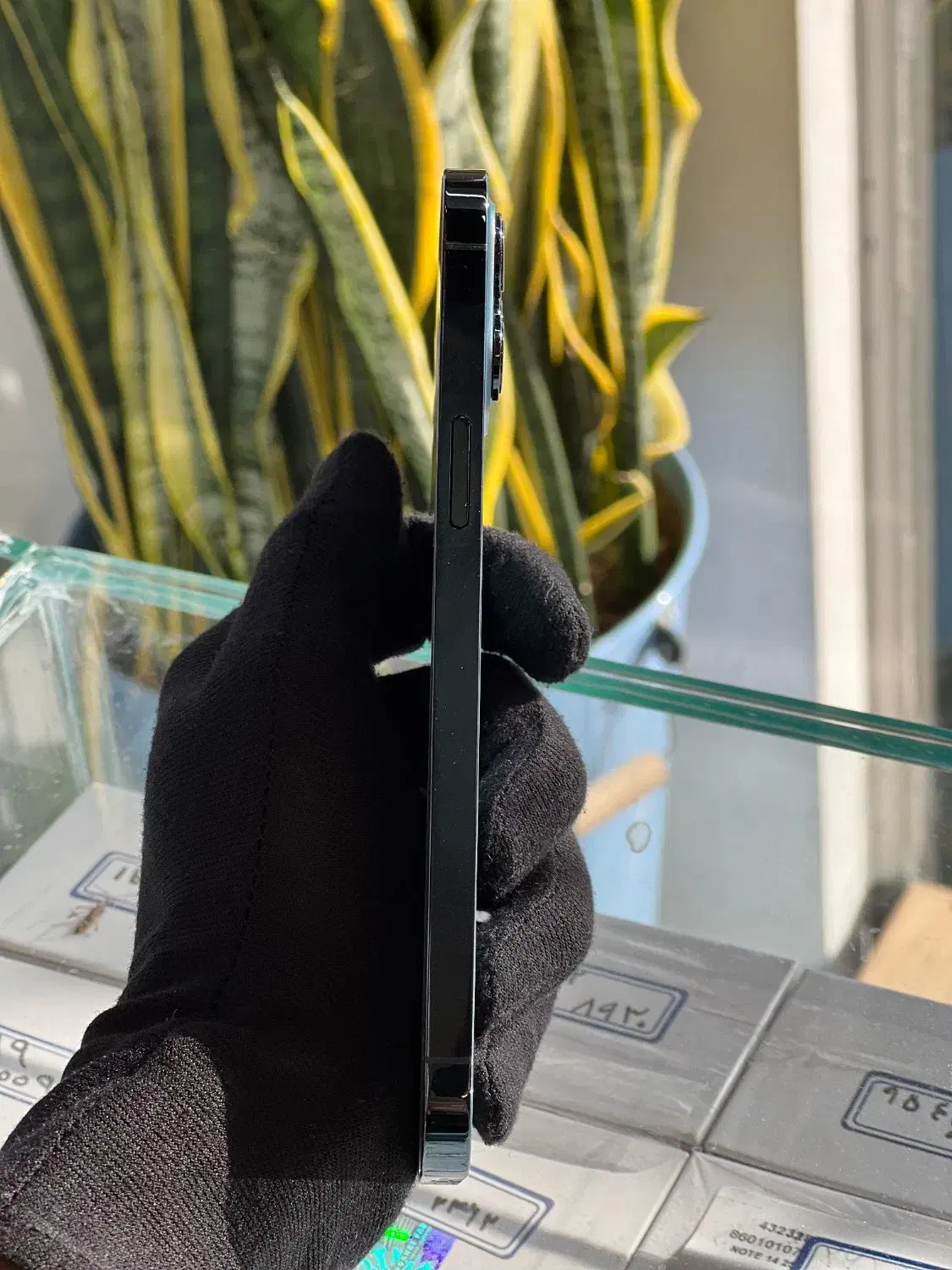 اپل iphone 12promax رنگ آبی|موبایل|یزد, |دیوار