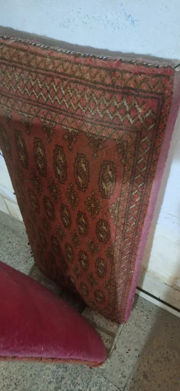 دو عدد پشتی|پشتی|گرگان, |دیوار