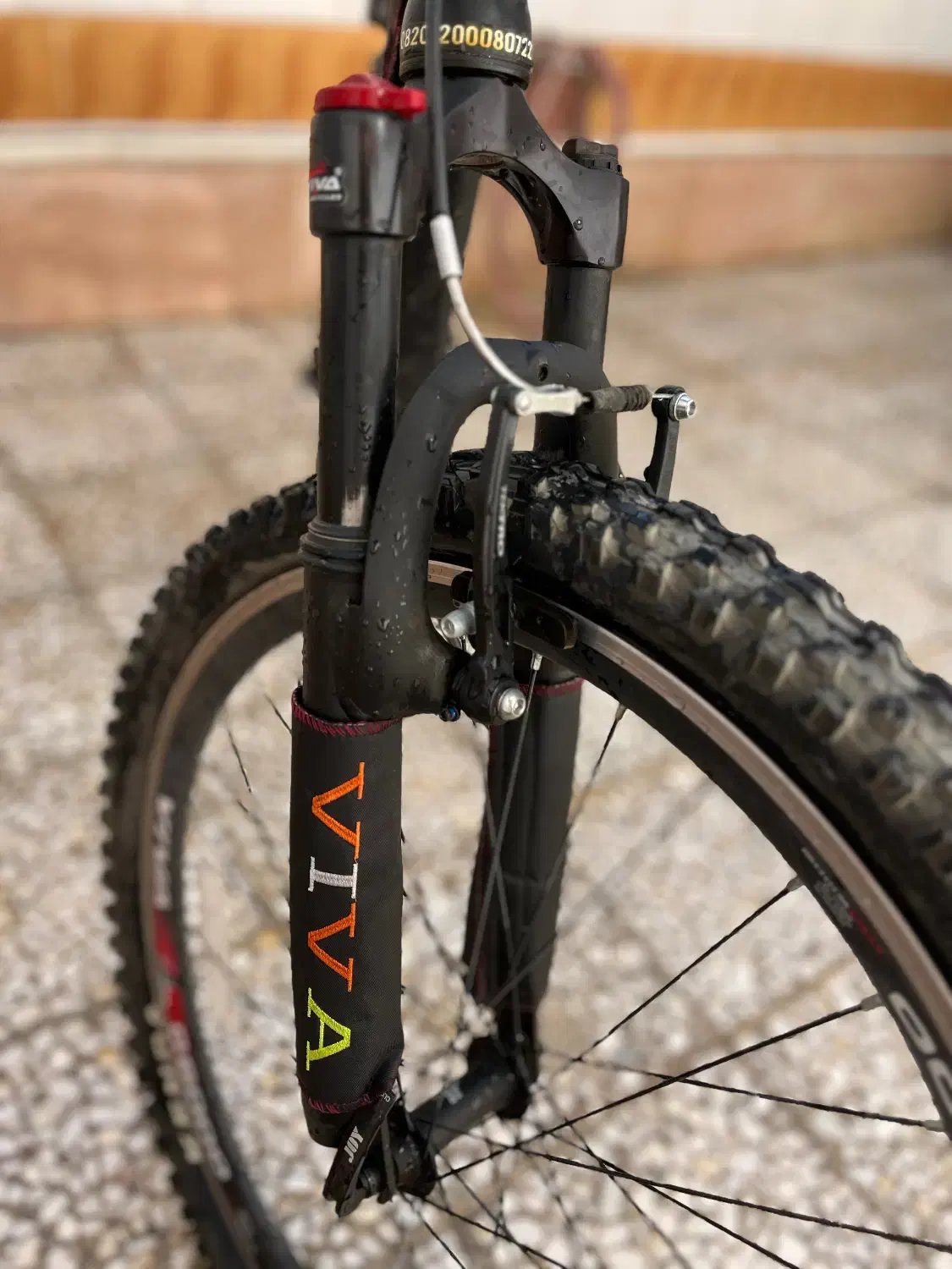 دوچرخه Viva|دوچرخه، اسکیت، اسکوتر|نجفآباد, امام خمینی|دیوار