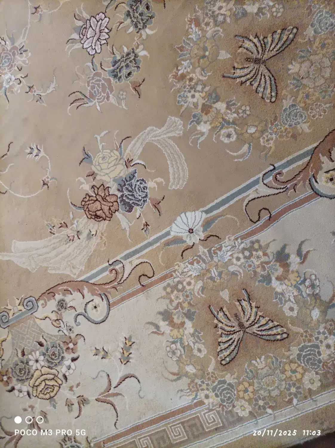 موکت و قالی|فرش|مرودشت, مسکن مهرگان|دیوار