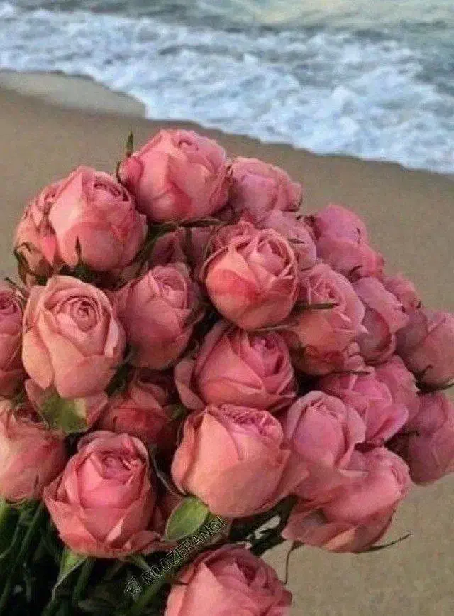 نیازمند کادر حرفه ای درتمامی لاینها|استخدام درمانی، زیبایی، بهداشتی|بوکان, |دیوار