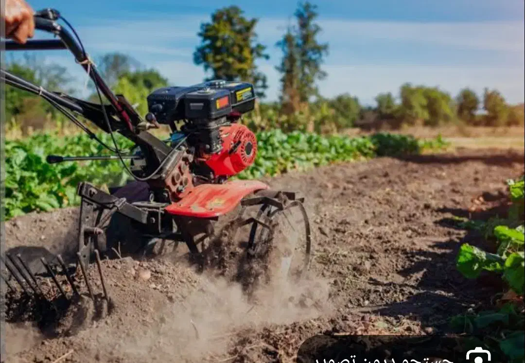 کاربا تیلر وشخم زدن|خدمات باغبانی و درختکاری|الشتر, |دیوار
