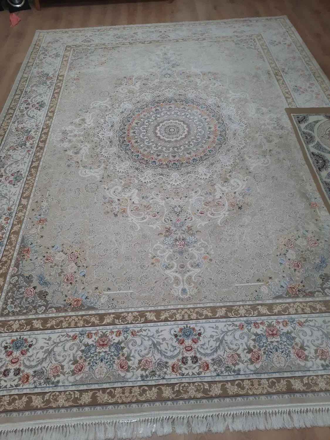 یک عدد فرش 12متری|فرش|زاهدان, |دیوار