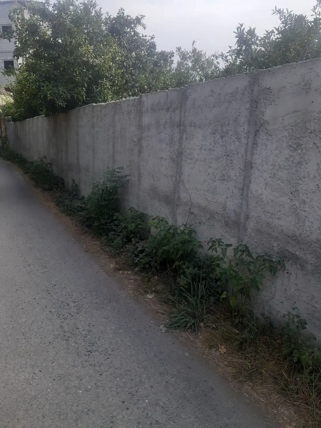 سیمانکار|استخدام معماری، عمران و ساختمانی|کتالم و سادات شهر, |دیوار