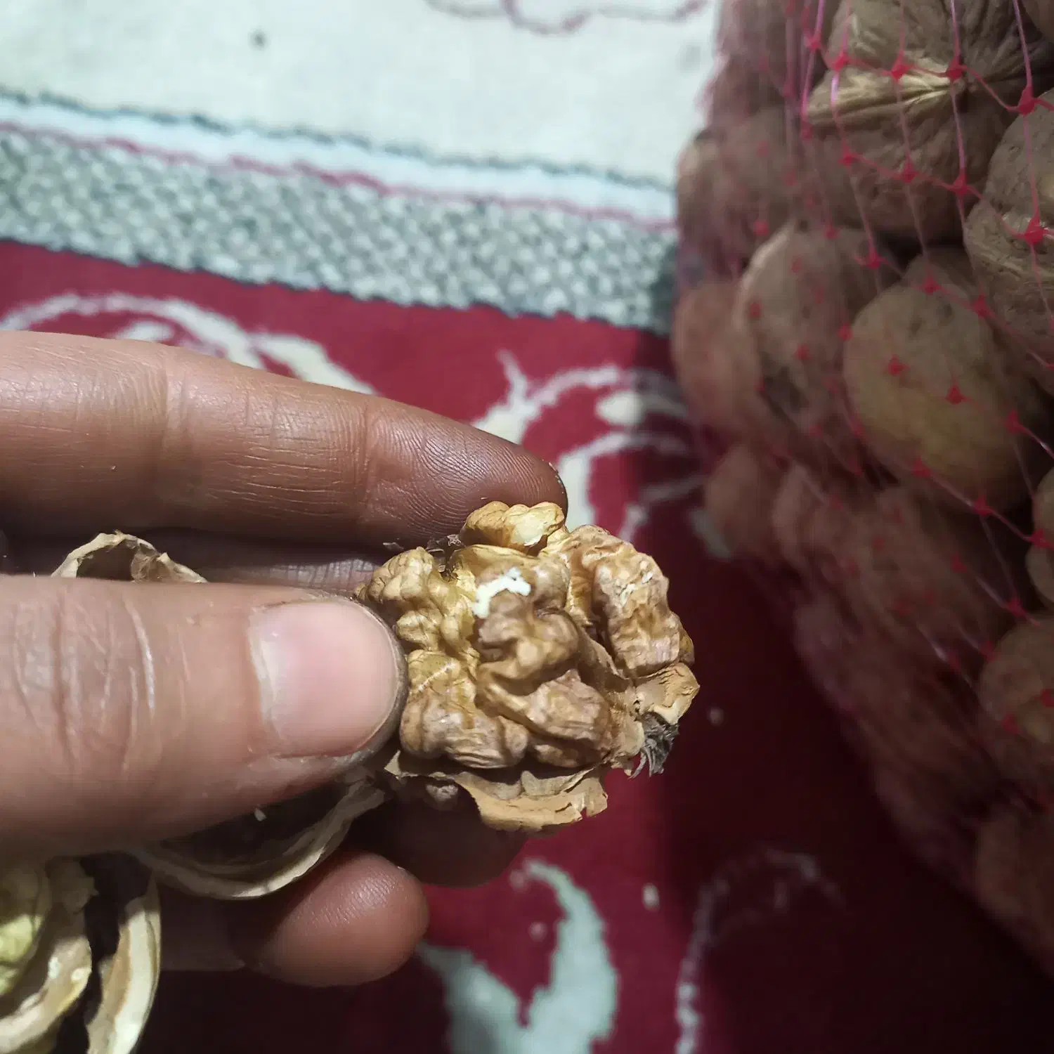 گردو تازه  خوش طعم درجه یک  سپیدان|خوردنی و آشامیدنی|شیراز, بازار|دیوار