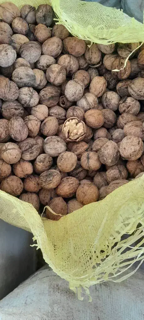 گردو|خوردنی و آشامیدنی|ماکو, |دیوار