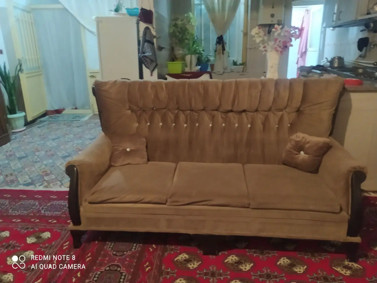 مبل|مبلمان خانگی و میز عسلی|شیروان (خراسان), |دیوار