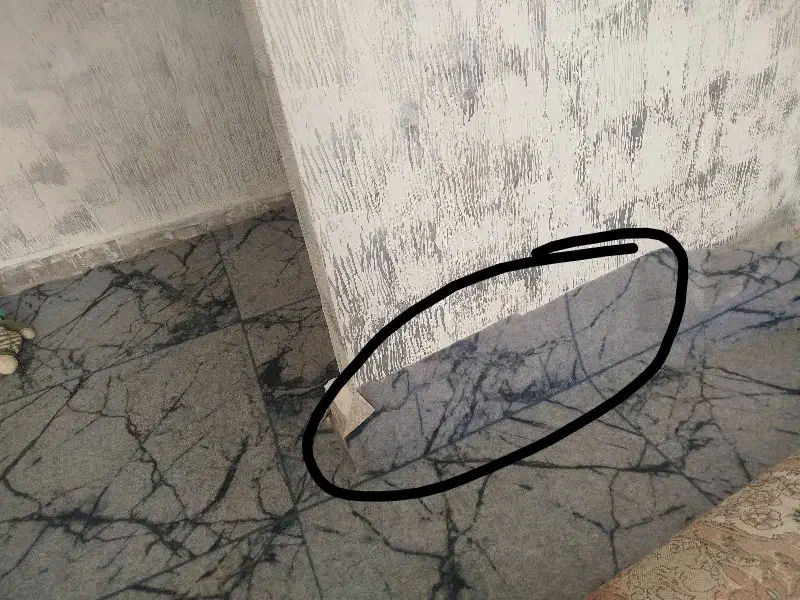 موکت دوتا تیکه ۱۲ متری|موکت|پرند, فاز ۵|دیوار