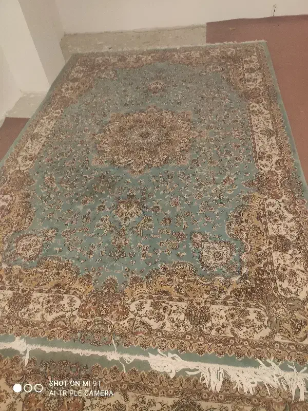 دو عدد فرش 6متری رنگ سبز پسته ای|فرش|نکا, |دیوار