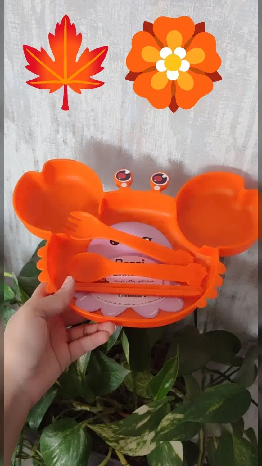 ظرف غذا کودک|ظروف نگهدارنده، پلاستیکی، یک‌بارمصرف|اصفهان, جلالیه|دیوار