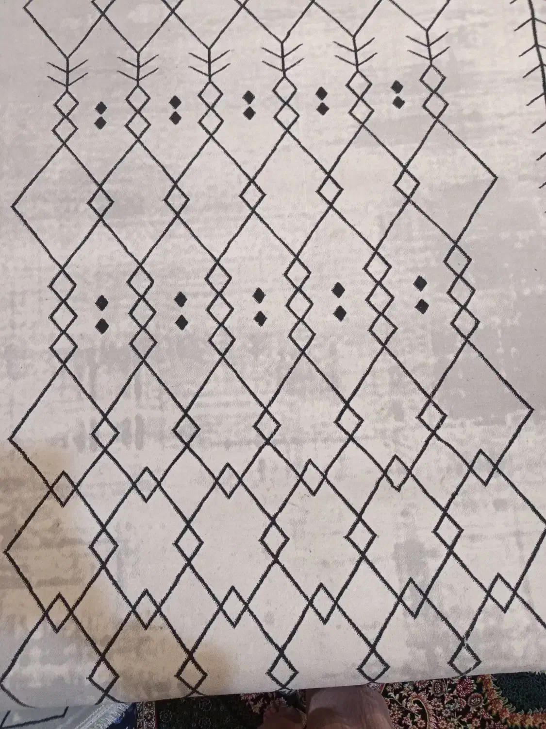 فرش|فرش|مشهد, شهرک لشکر (شهرک غرب)|دیوار