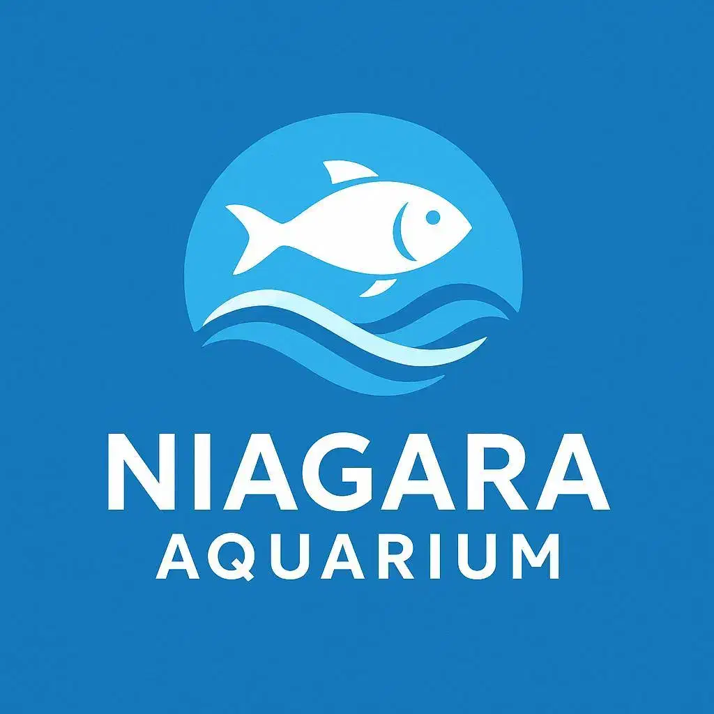 استخدام فروشنده درفروشگاه آکواریوم|استخدام بازاریابی و فروش|تهران, سلسبیل جنوبی|دیوار