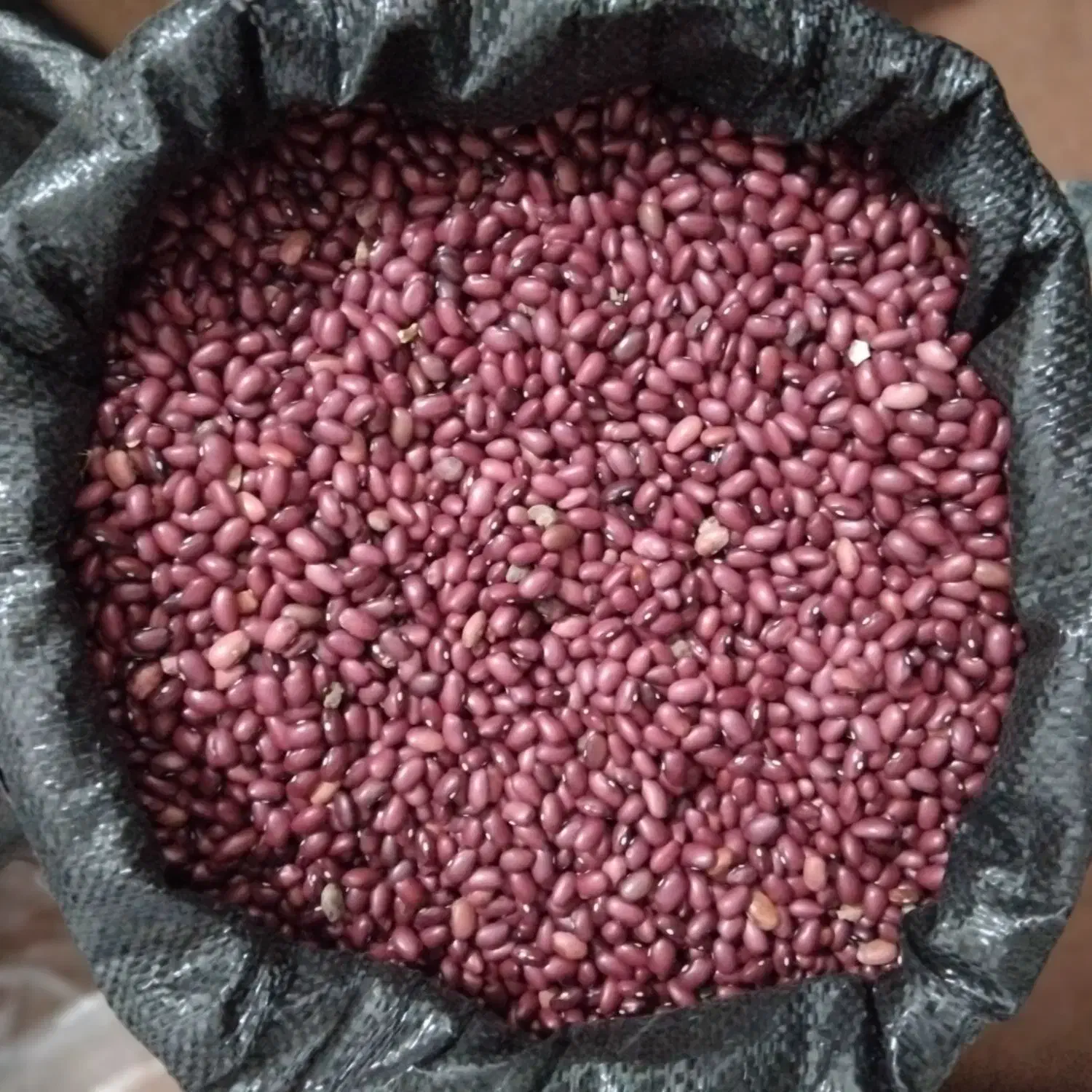 لوبیا قرمز تازه|خوردنی و آشامیدنی|ویلکیج, |دیوار