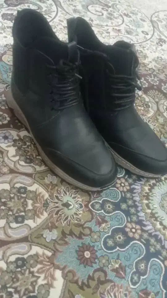 نیم بوت مردانه و زنانه|کیف، کفش، کمربند|چادگان, |دیوار