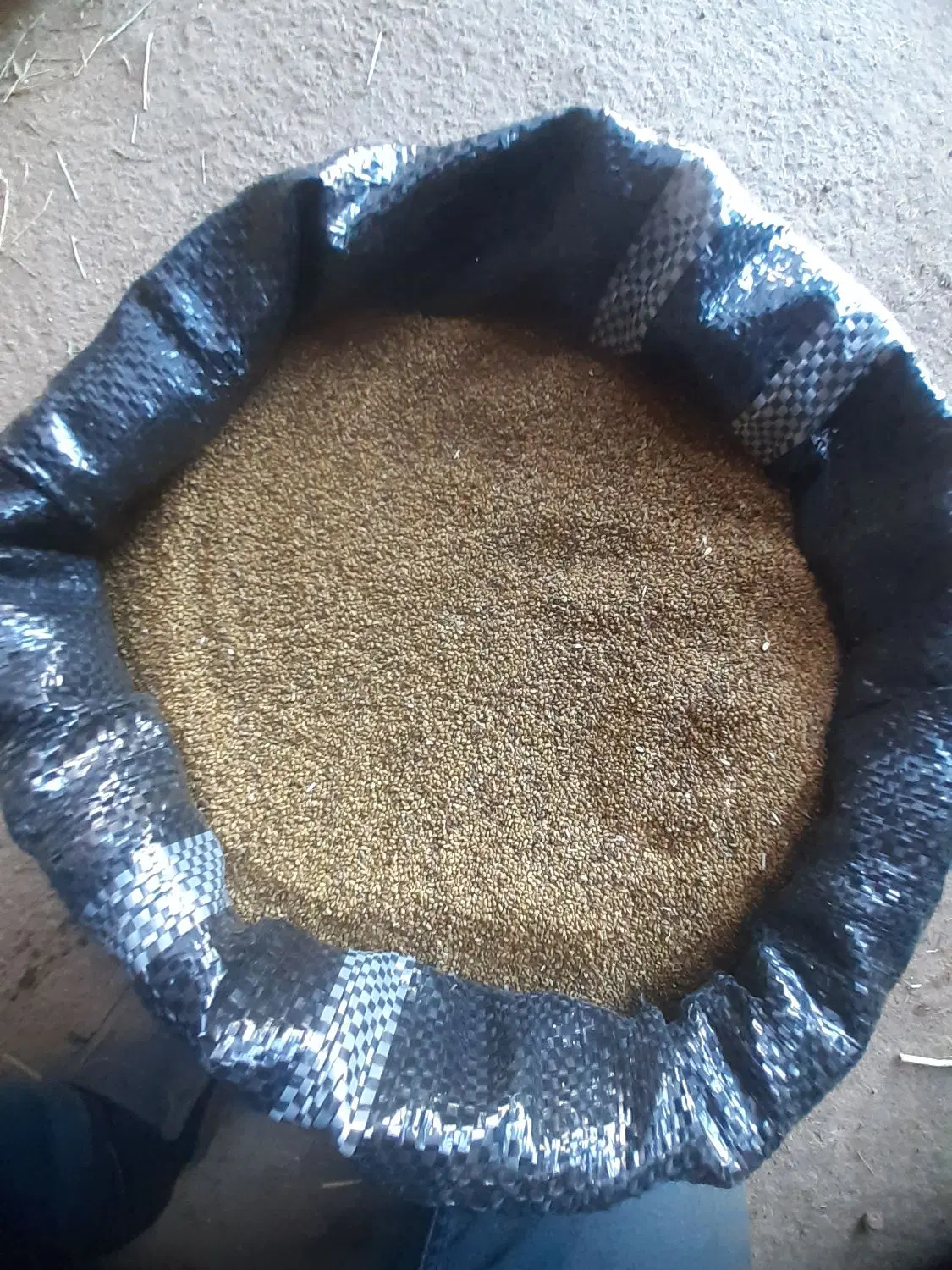 بذر یونجه|گل و گیاه طبیعی|سراب, |دیوار