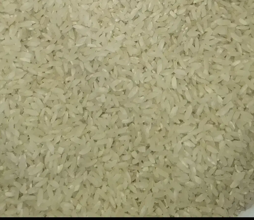 برنج چمپا سرقلعه کیلو ۳۱۰|خوردنی و آشامیدنی|بروجن, |دیوار