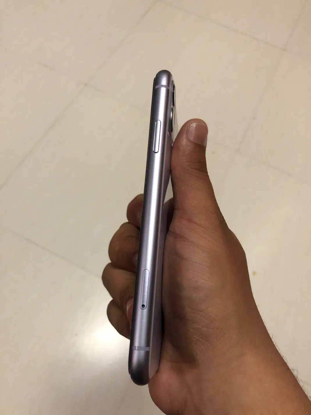 iPhone 11|موبایل|سبزوار, باهنر|دیوار
