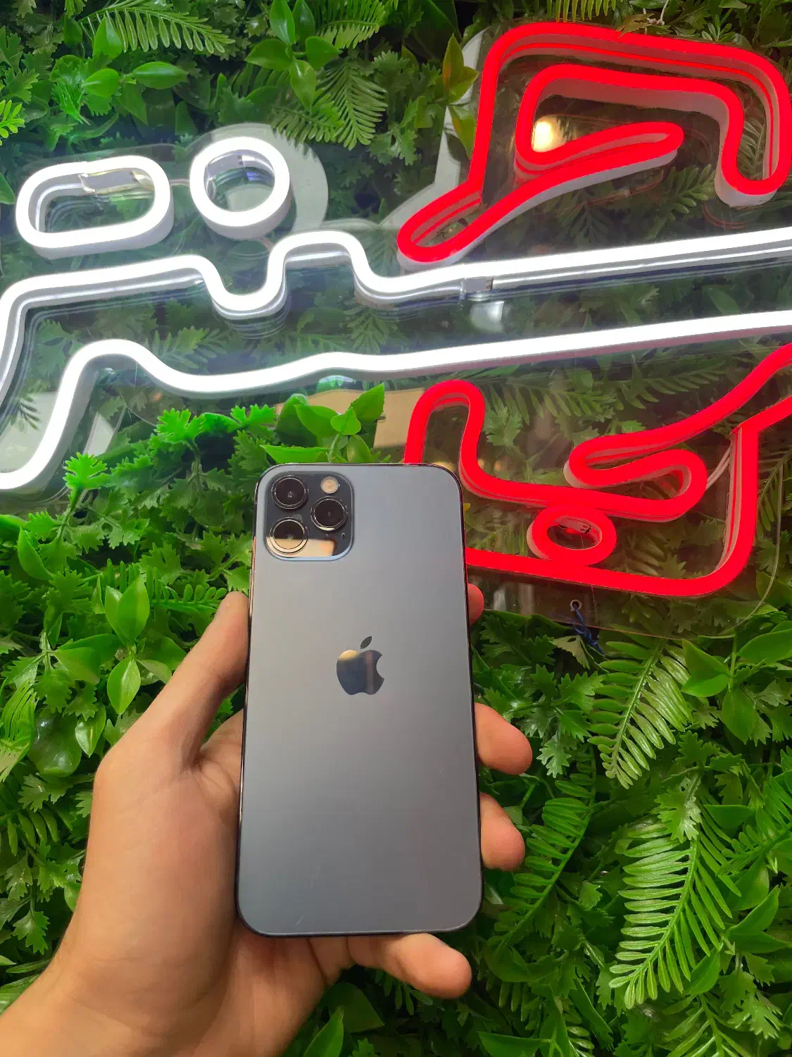 12 pro|موبایل|رشت, دیلمان|دیوار