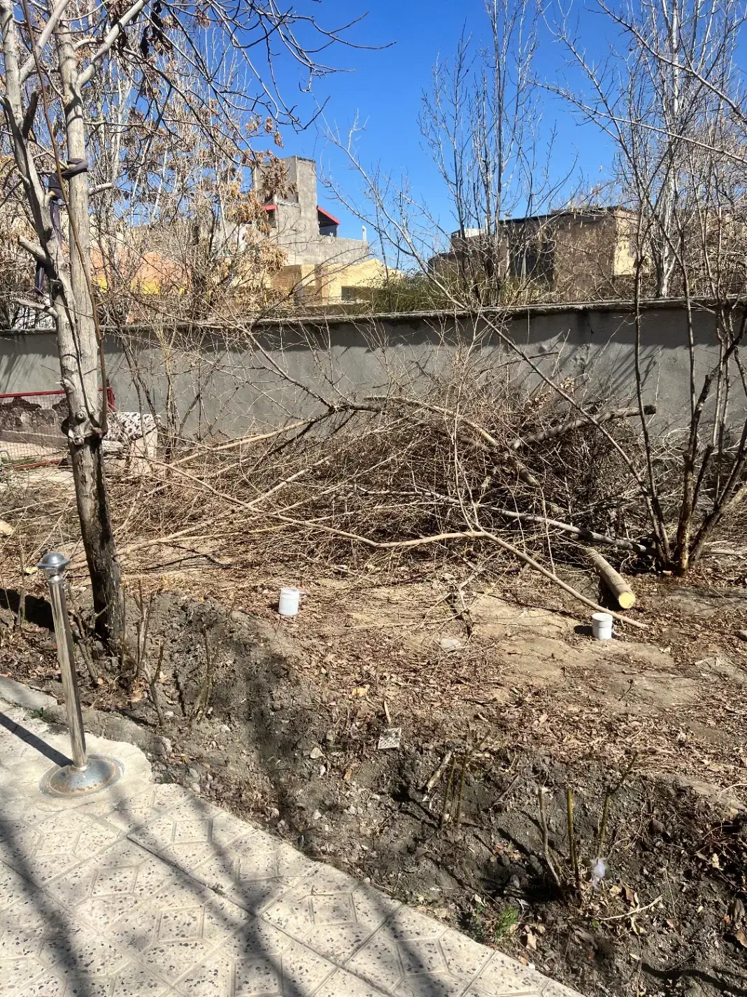 چوب|خدمات باغبانی و درختکاری|مشهد, هفت تیر (آب و برق)|دیوار