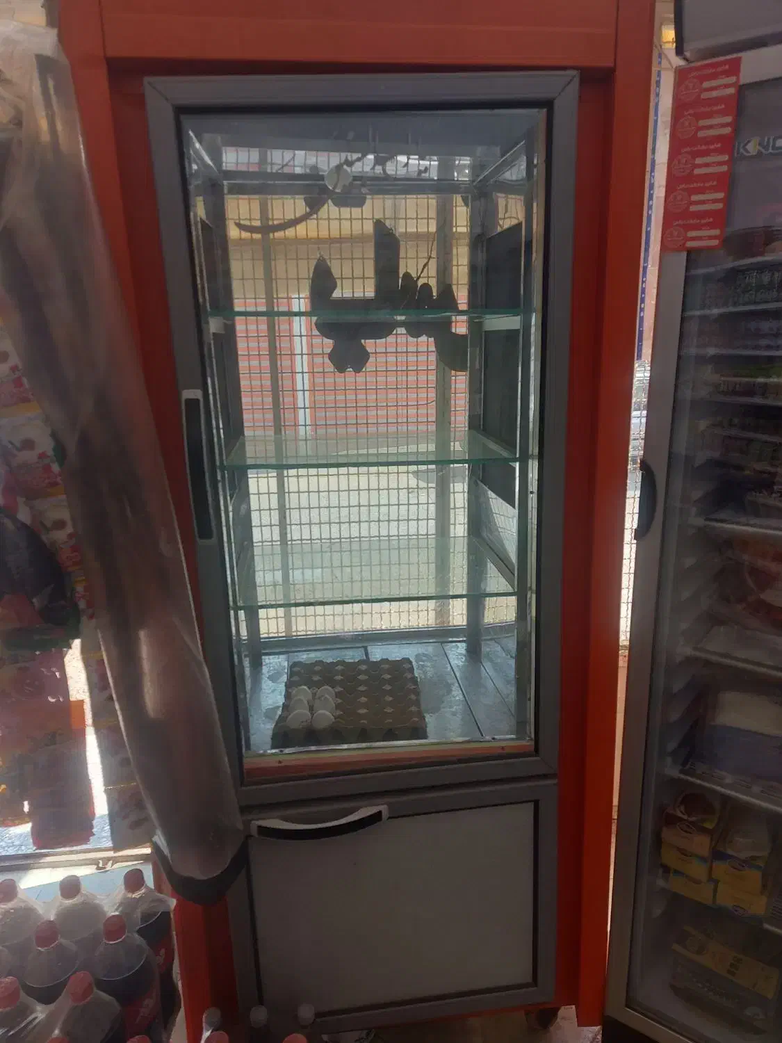 یخچال مغازه|کافی‌شاپ و رستوران|قم, ولیعصر|دیوار