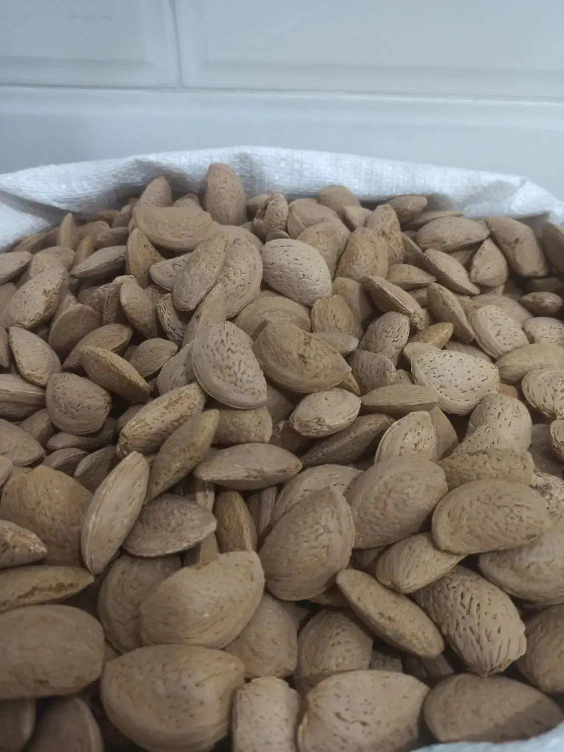 گردو و بادام|خوردنی و آشامیدنی|خور (اصفهان), |دیوار