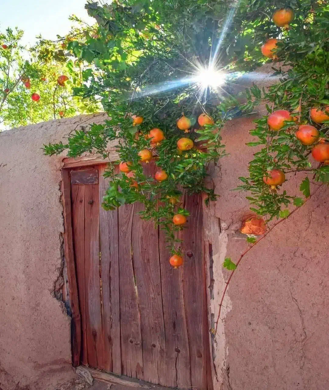 فروش حواله سمند سورن|خودرو سواری و وانت|خرمآباد, |دیوار