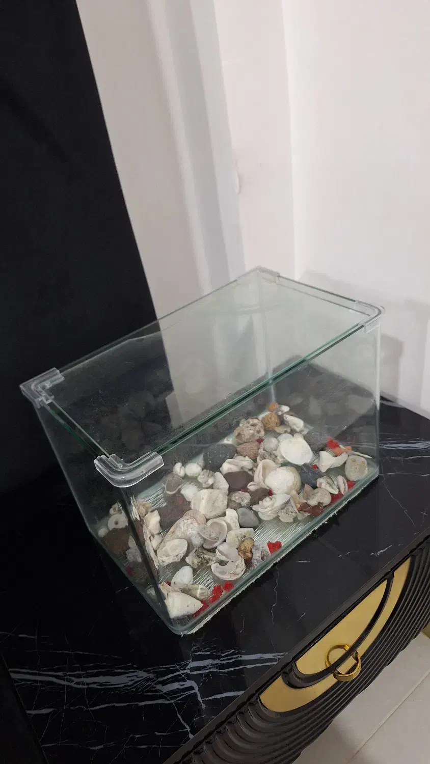 آکواریوم در حد نو|ماهی|بندرعباس, |دیوار