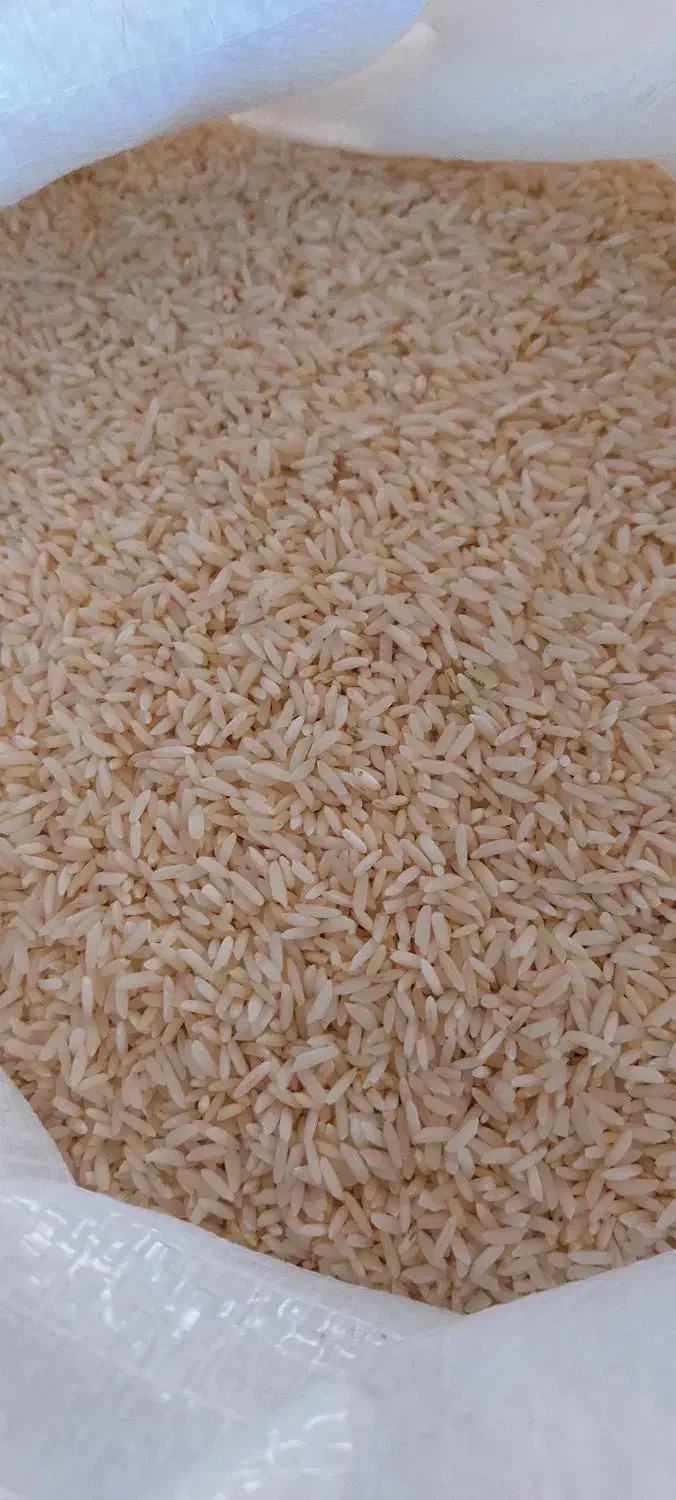 برنج|خوردنی و آشامیدنی|دماوند, گیلاوند|دیوار