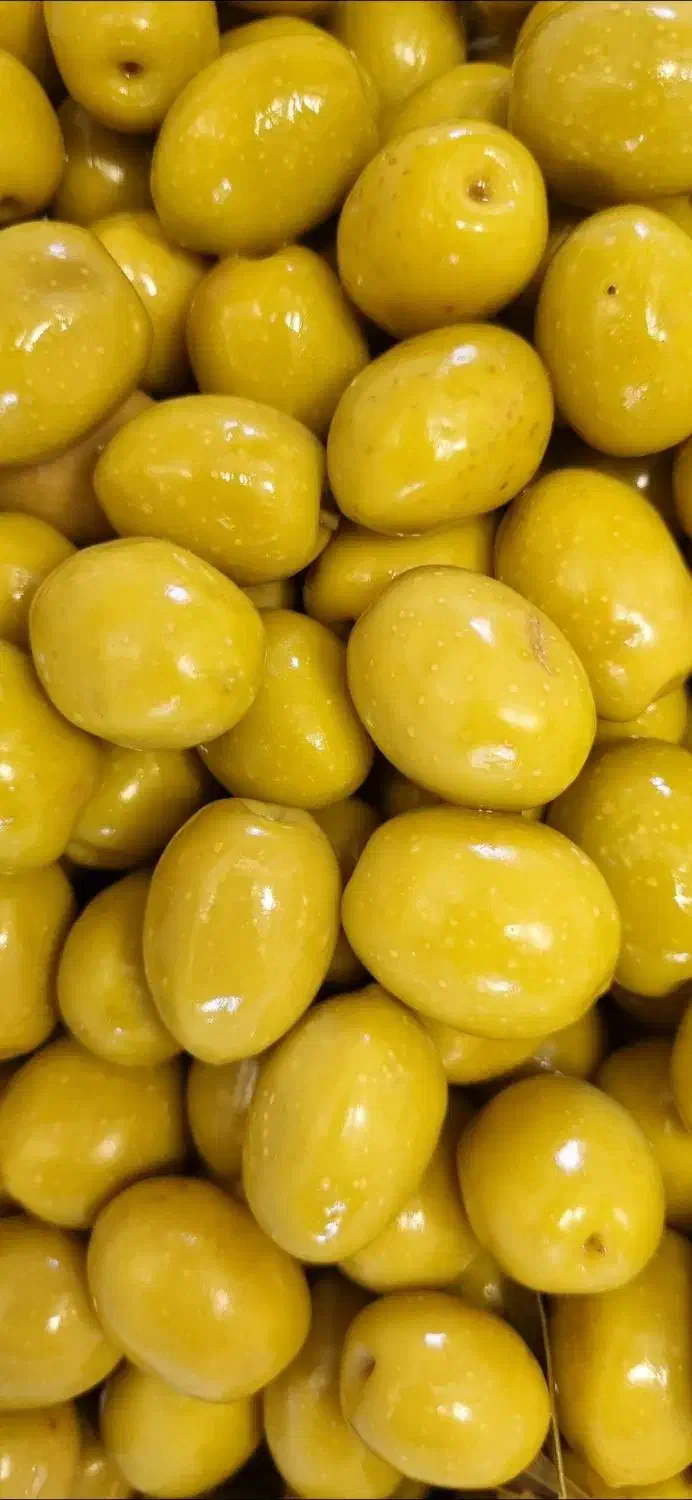 زیتون کنسروی درهم|خوردنی و آشامیدنی|رودبار, |دیوار