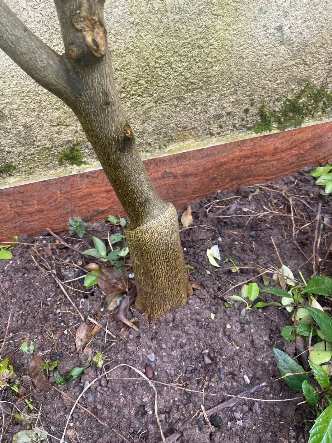 گلخانه|فروش دفتر صنعتی، کشاورزی، تجاری|شهریار, یوسف آباد صیرفی|دیوار