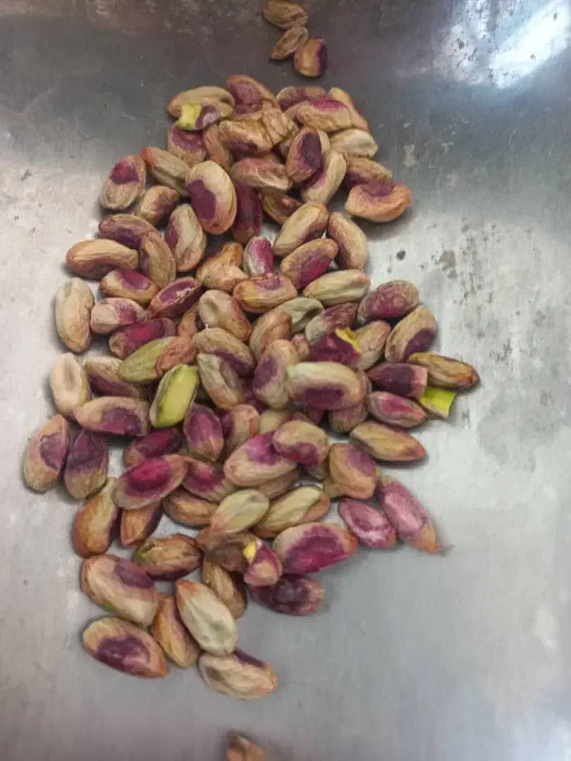 فروش پسته در انواع مختلف|خدمات باغبانی و درختکاری|مه ولات, |دیوار