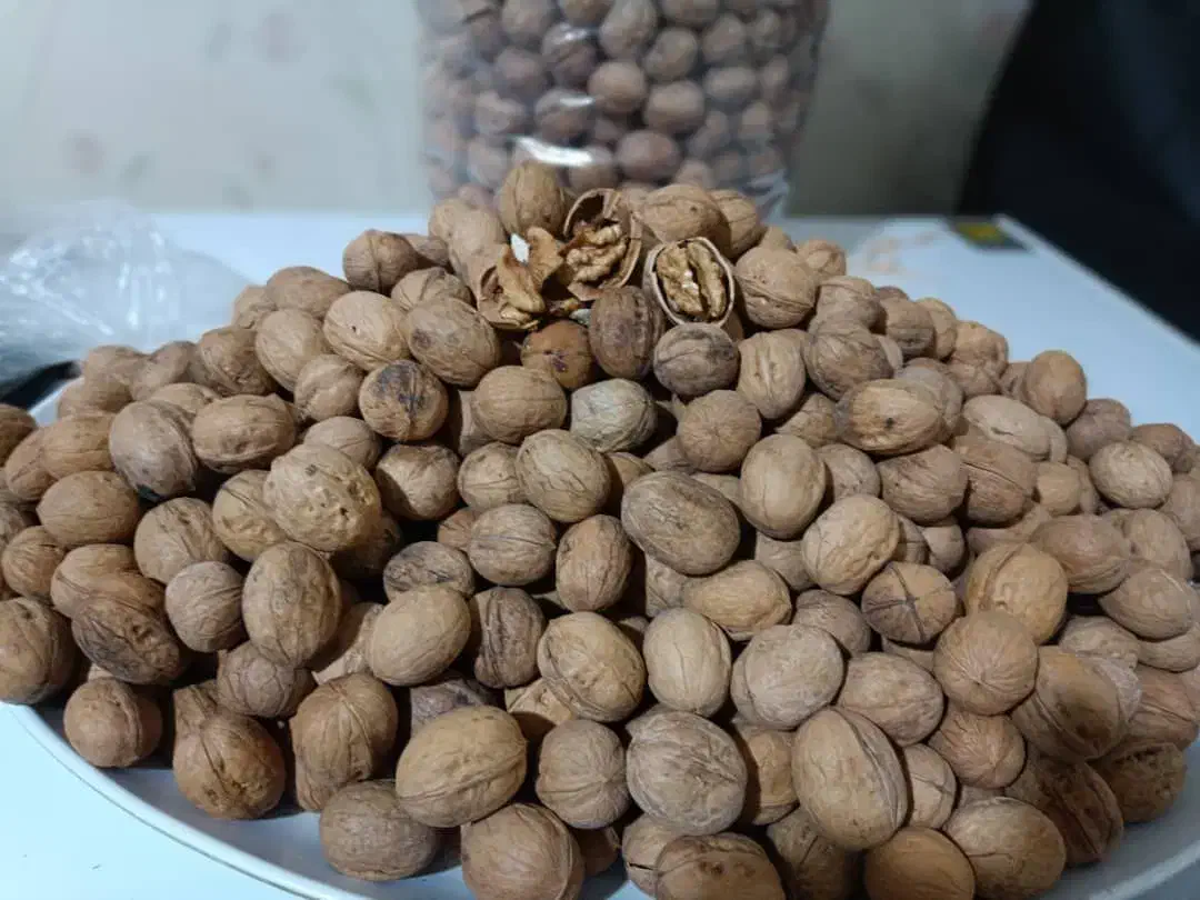 گردو تویسیرکان کیلو ۳۵۰تومن|خوردنی و آشامیدنی|جهرم, |دیوار