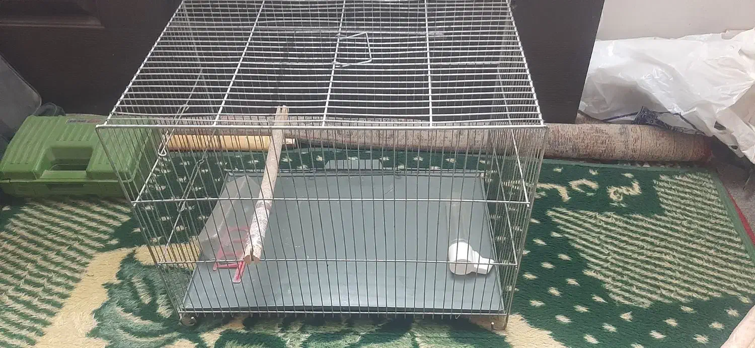 فروش قفس پرنده|لوازم جانبی حیوانات|فردیس, سپید دشت|دیوار
