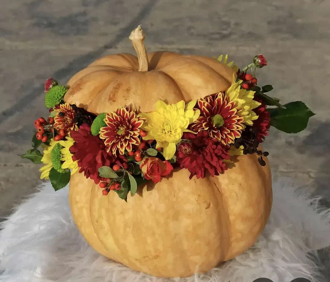 میوه آرایی.  خنچه عروس داماد|خدمات پذیرایی، مراسم|نجف‌آباد, هفده شهریور|دیوار