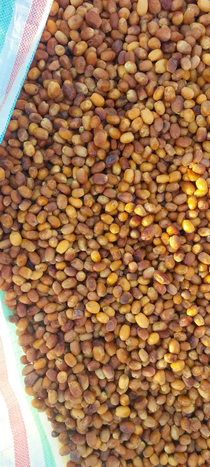 رطب زاهدی|خوردنی و آشامیدنی|فراشبند, |دیوار