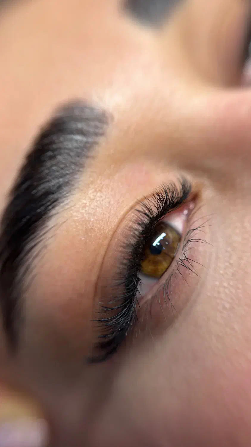 تخفیف اکستنشن مژه تخصصی بهدهمراه لیفت ابرو رایگان|خدمات آرایشگری و زیبایی|چالوس, |دیوار