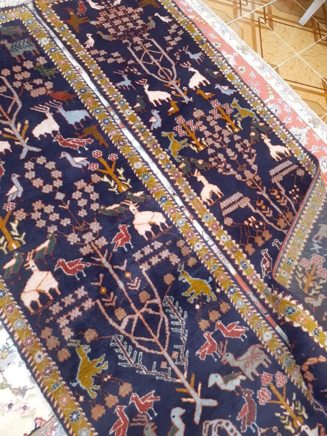 کناره اردبیل|فرش|اردبیل, |دیوار