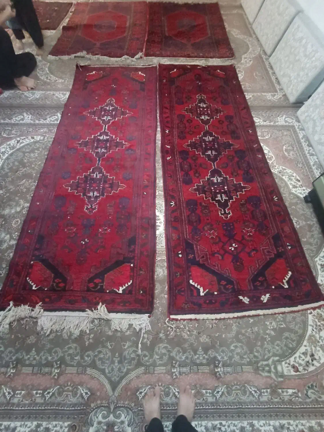 فرش دستبافت پشمی یک جفت|فرش|اسفرورین, |دیوار